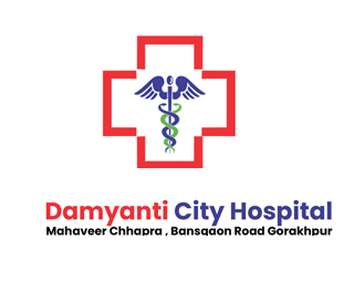 Damyanti City Hospital By Aristo Coders